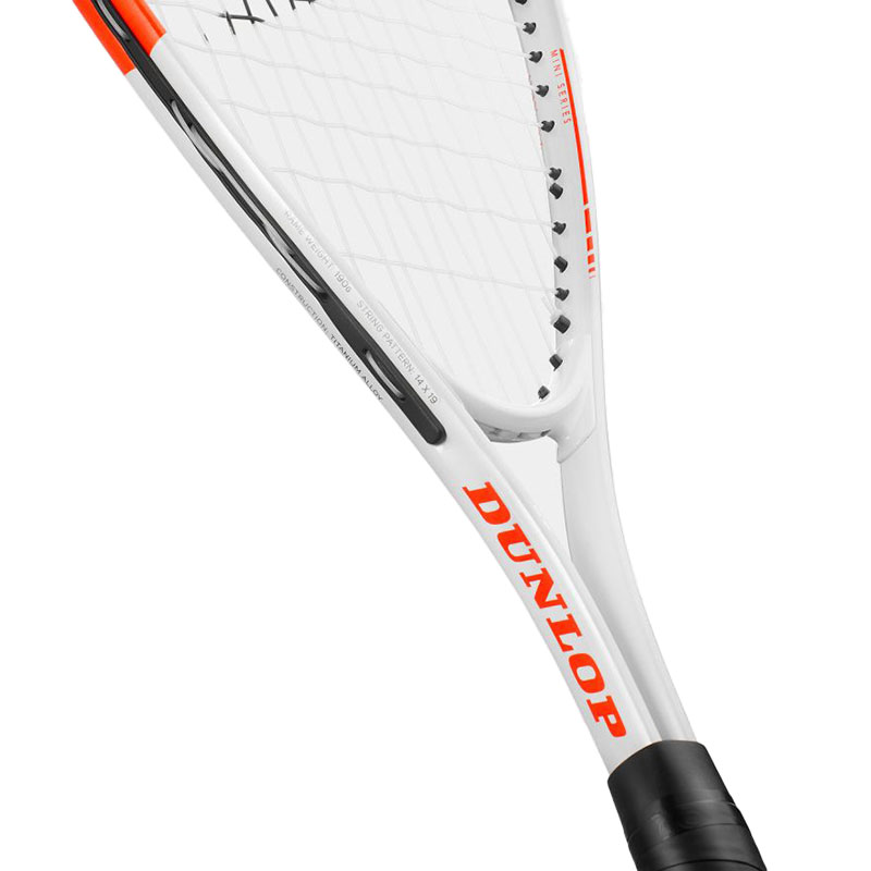 Play Mini Squash Racket, image number null